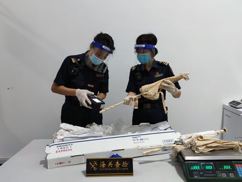 江门广播电视台 打造精品节目，传播侨乡之声